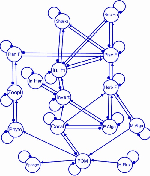 reef ecosystem model